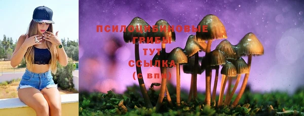 2c-b Баксан